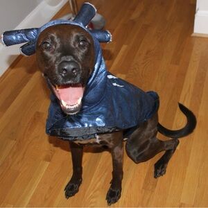 Dog Costume - Monster - Size XXL